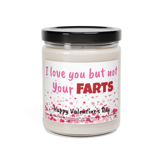 I love you but not your Farts Scented Soy Candle Valentine's Day 9oz gag gift